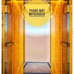 Vàng Avatar - Đà Nẵng Today