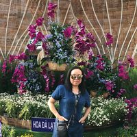 Chung Avatar - Đà Nẵng Today