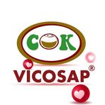 Vicosap Avatar - Đà Nẵng Today
