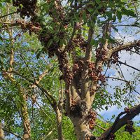 Tân Avatar - Đà Nẵng Today