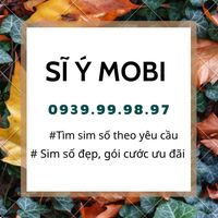 Ý Avatar - Đà Nẵng Today