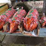 Kissbi Avatar - Đà Nẵng Today