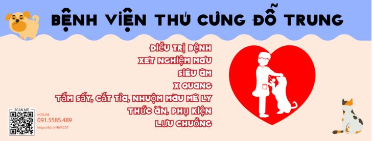 Quốc tế thiếu nhi DÀNH CHO CÁC BOSS