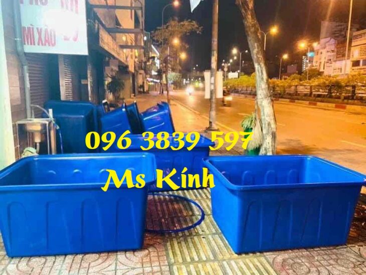 Thùng nhựa chữ nhật 300 lít, tank nhựa nuôi cá, tôm giá rẻ – 096 3839 597 Ms Kính