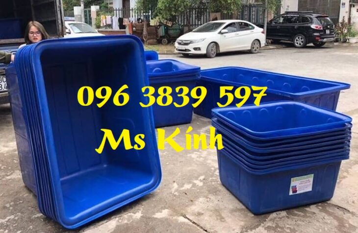 Thùng nhựa chữ nhật 300 lít, tank nhựa nuôi cá, tôm giá rẻ – 096 3839 597 Ms Kính