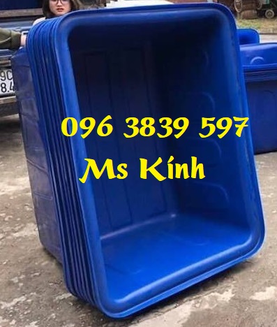 Thùng nhựa chữ nhật 300 lít, tank nhựa nuôi cá, tôm giá rẻ – 096 3839 597 Ms Kính