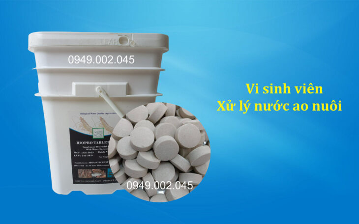 Biopro Tablet – Vi sinh Mỹ dạng viên giúp làm sạch đáy ao nuôi tôm cá