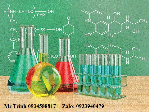 Trình Avatar - Đà Nẵng Today