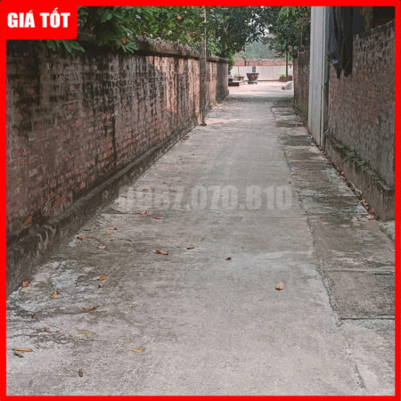 Bán đất Thường Tín, xã Tự Nhiên, 6 tỷ, giá 20 triệu/m², diện tích 300m² Bán đất Thường Tín, xã Tự Nhiên, 6 tỷ, giá 20 triệu/m², diện tích 300m²