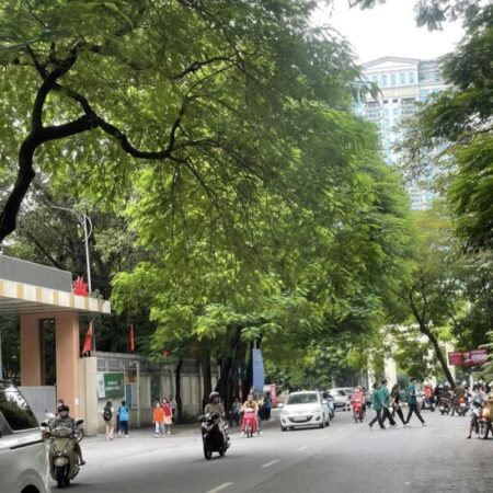 ???? MẶT PHỐ TÔ HIỆU TO, CẦU GIẤY 150M2 2T MT 7M, GIÁ ĐẦU TƯ CHỈ 52.5 TỶ???? ???? MẶT PHỐ TÔ HIỆU TO, CẦU GIẤY 150M2 2T MT 7M, GIÁ ĐẦU TƯ CHỈ 52.5 TỶ????