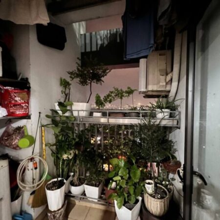 Bán nhà Hoàng Mai giá 4tỷ, diện tích 62m2, tầng 19, mặt tiền 3.5m