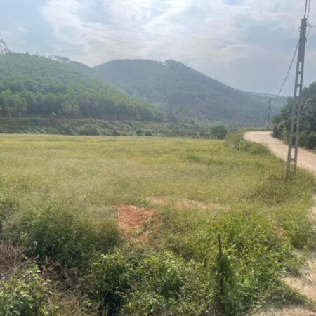 SỞ HỮU NGAY ĐẤT NỀN THỊ XÃ CHŨ_BẮC GIANG _ CHIT TỪ 400TR_600TR