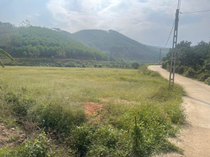 CƠ HỘI ĐẦU TƯ SINH LỜI CAO ĐẤT THUỘC THỊ XÃ CHŨ- BẮC GIANG- SỞ HỮU FARM TRỒNG RAU SẠCH KHÍ CANH.(