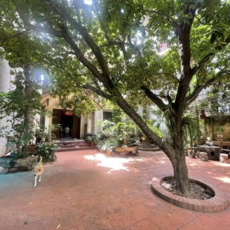 ⚜️ Mặt phố Đồng Cổ, Tây Hồ, 450m2 3T MT 10m, Đất vàng mặt phố giá đầu tư, Chỉ 98 Tỷ ⚜️ ⚜️ Mặt phố Đồng Cổ, Tây Hồ, 450m2 3T MT 10m, Đất vàng mặt phố giá đầu tư, Chỉ 98 Tỷ ⚜️