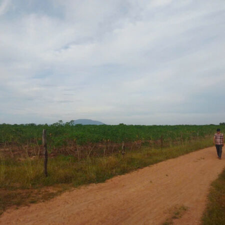 Bất Động Sản Nông Nghiệp – BĐS Tạo Dòng Tiền Luôn Trên Đất…..HOT… Bất Động Sản Nông Nghiệp – BĐS Tạo Dòng Tiền Luôn Trên Đất…..HOT…