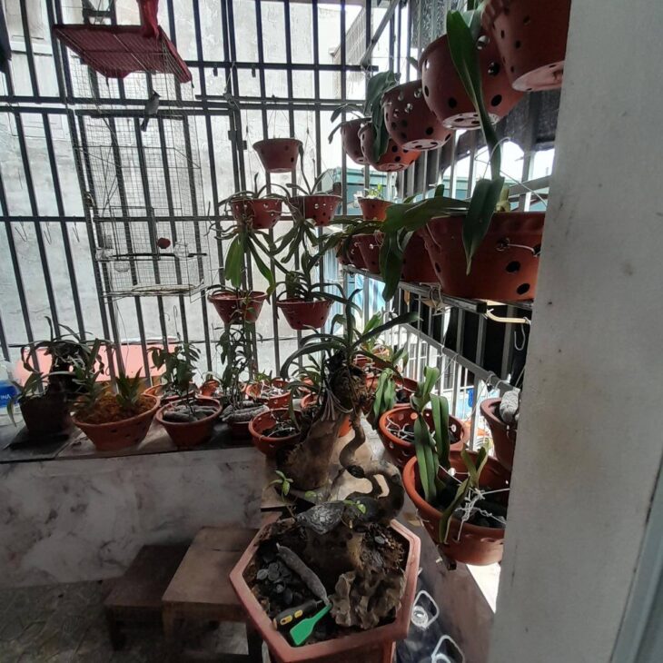 Bán nhà chính chủ Khương Trung, Thanh Xuân, 3 tầng, diện tích 30m2, giá 3.5 tỷ, vị trí đẹp, dễ kinh