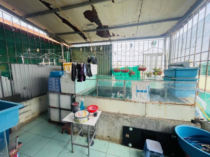 Bùi Xương Trạch Ô TÔ TRÁNH 4.5 tỷ Thanh Xuân, diện tích 46m2, mặt tiền 4,5m