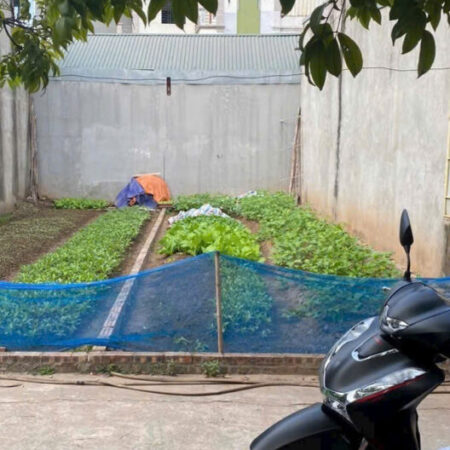 CHÍNH CHỦ CẦN BÁN MẢNH ĐẤT TẠI PHỐ PHÚC LỢI (NGÕ RỘNG Ô TÔ VÀO TẬN ĐẤT)