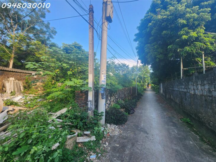 Bán đất thị trấn Phong Sơn, huyện Cẩm Thủy, tỉnh Thanh Hóa