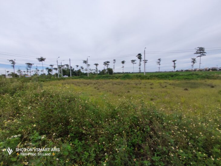 Bán Lô Đất Hiếm Xã Bình Minh – Mặt Đường Lớn, Giá Hấp Dẫn 1,7 Tỷ!