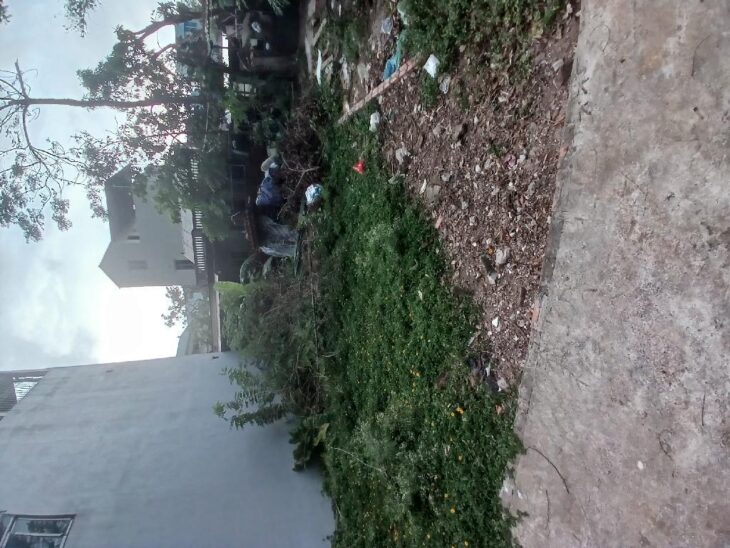 ⭐RẺ- Bán đất Đồng Mai, Hà Đông, Gần xe Bus, 53m, MT 3.8m + Sổ đỏ, Nhỉnh 2 tỷ ⭐