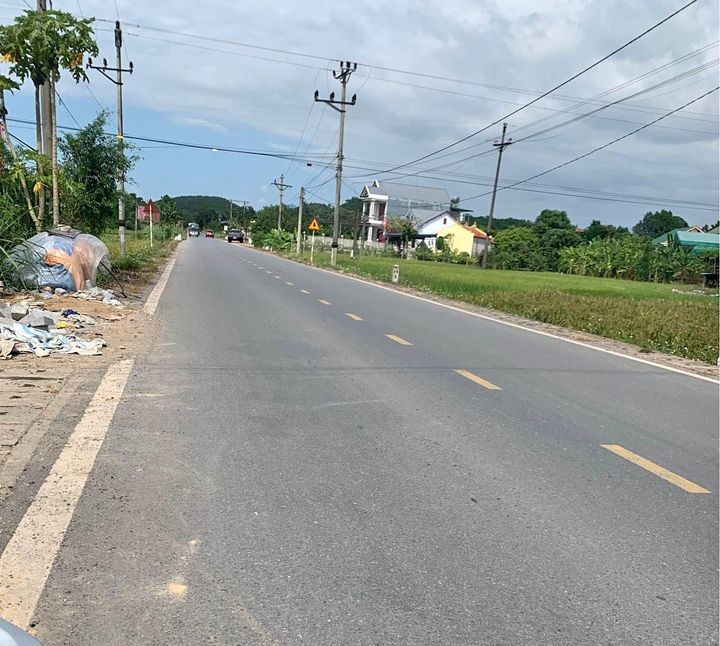 Siêu Phẩm Đất TMDV 7000m² Mặt Đường Thái Bình – Cồn Vành. Cơ Hội Đầu Tư Sinh Lời Cao!