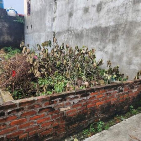 BÁN LÔ ĐẤT NGAY TẠI XÃ QUANG BÌNH, HUYỆN KIẾN XƯƠNG 164M GIÁ CHƯA ĐẾN 4 TỶ