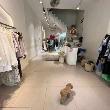 MĂT PHỐ NGUYỄN HY QUANG – ĐÔNG ĐA, KD Ô TÔ, VỈA HÈ: 48M, 6T, MT: 5.2M, 23.5 TỶ