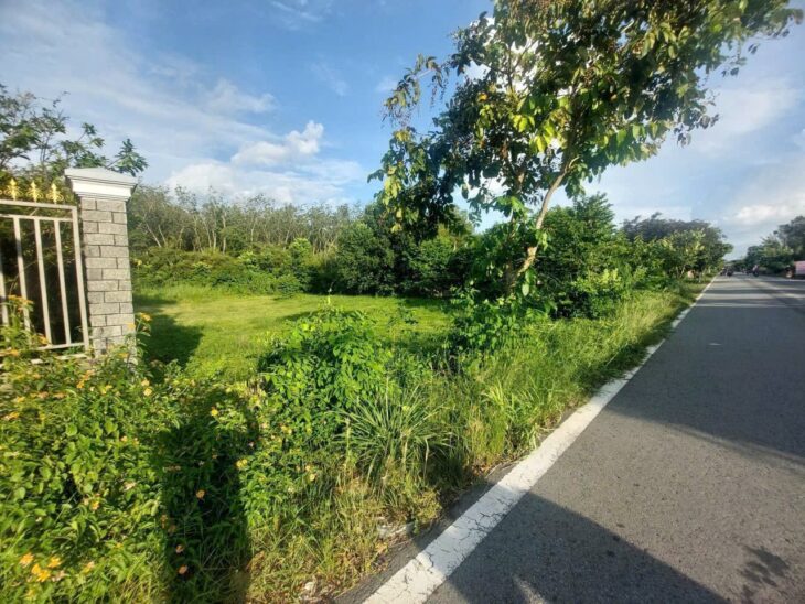 bán lô đất mặt tiền đỗ đăng tuyển củ chi dt 22 x 52m có thoorcuw qh hiện hữu