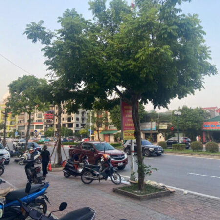 ĐẤT ĐẸP – GIÁ TỐT – Vị Trí Đắc Địa Tại Mặt đường Phố Hồng Tiến, Bồ Đề, Long Biên, Hà Nội ĐẤT ĐẸP – GIÁ TỐT – Vị Trí Đắc Địa Tại Mặt đường Phố Hồng Tiến, Bồ Đề, Long Biên, Hà Nội
