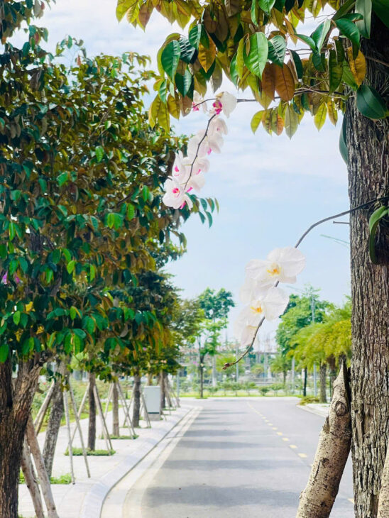 Ra giỏ hàng hot nhất, lô đất gần hồ Mắt Rồng – Danko City TN – Nghỉ dưỡng ngay giữa lòng thành phố,