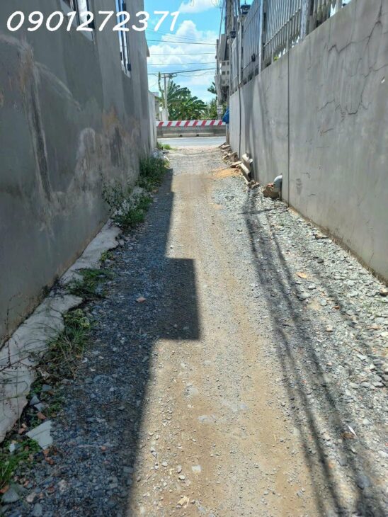 Bán nhanh đất thổ cư Long Định, Cần Đước, 246m², DT 830, giá tốt 1.55 tỷ