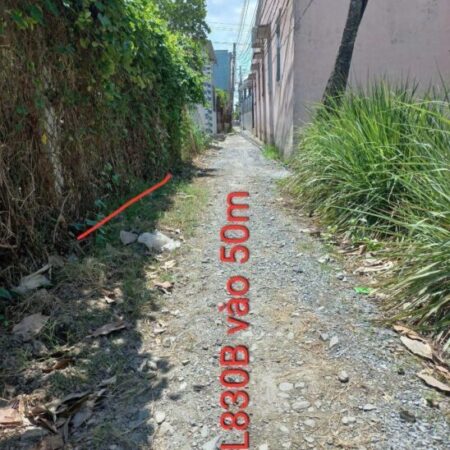 Bán đất thổ cư 248m² Đường DT830, Long Định, Cần Đước, Long An – 1.5 tỷ