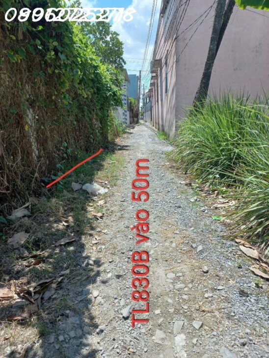 Bán đất thổ cư 248m2, ĐT830, Long Định, Cần Đước, Long An – 1.5 tỷ