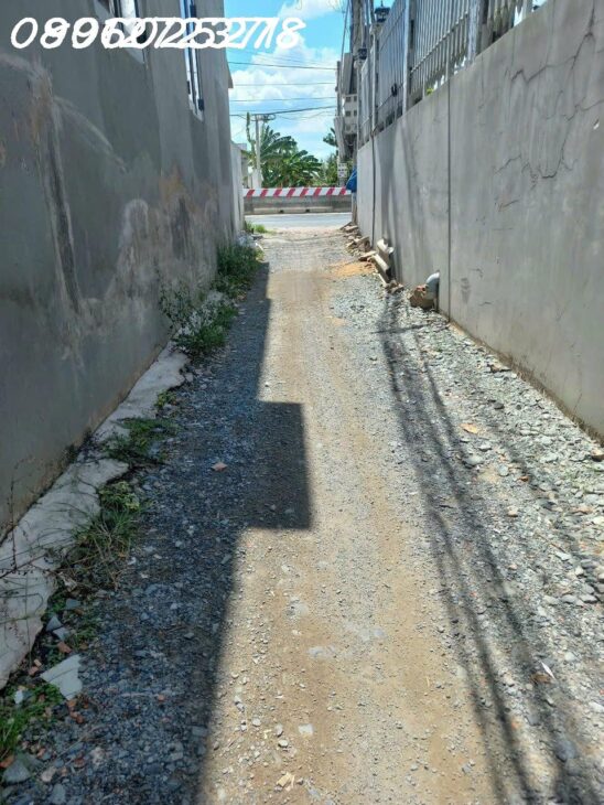 Đất đẹp Long Định, Cần Đước, 246m², giá tốt 1.55 tỷ, SHR, đầu tư sinh lời