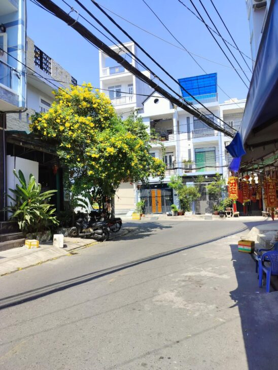 Căn góc KDC Bùi Minh Trực 8×17.5 chỉ 24 tỷ 2