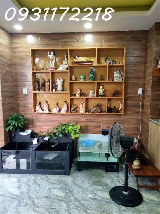 Mặt tiền Phạm Thế Hiển – Phú Lợi 4.2×28 chỉ 9 tỷ 9