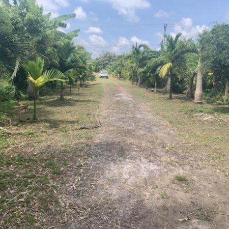 BÁN ĐẤT THÔN CÁT GIÀ, XÃ TÂY GIANG, HUYỆN TIỀN HẢI 28347M2 GIÁ 18 TỶ