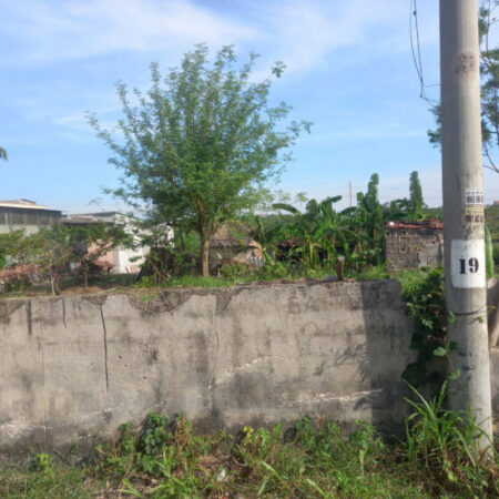 Chính chủ bán lô đất tại Thôn Đìa Mối, xã An Sinh, TX Đông Triều, Quảng Ninh. Chính chủ bán lô đất tại Thôn Đìa Mối, xã An Sinh, TX Đông Triều, Quảng Ninh.