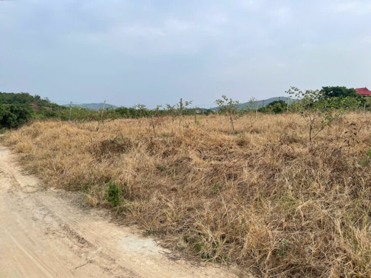 CƠ HỘI ĐẦU TƯ SINH LỜI CAO ĐẤT THUỘC THỊ XÃ CHŨ- BẮC GIANG- SỞ HỮU FARM TRỒNG RAU SẠCH KHÍ CANH.(