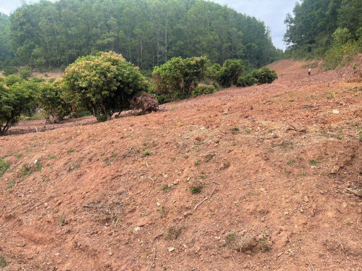 CƠ HỘI ĐẦU TƯ SINH LỜI CAO ĐẤT THUỘC THỊ XÃ CHŨ- BẮC GIANG- SỞ HỮU FARM TRỒNG RAU SẠCH KHÍ CANH.(