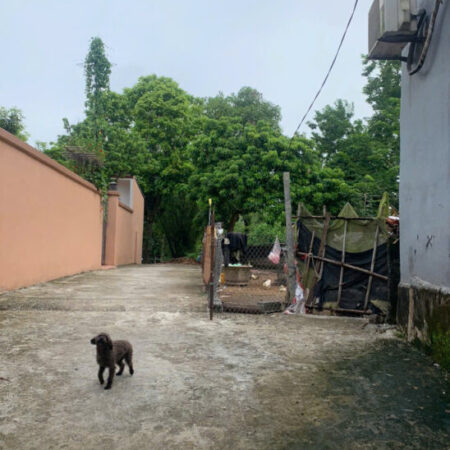 cc gửi bán 50,9 m ngọc hoà giáp tt chúc sơn đường o tô đỗ cửa