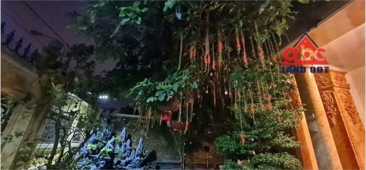 Bán Biệt thự sang trọng, thiết kế 1 trệt 3 lầu , vị trí giao thông thuận tiện. giá cực tốt