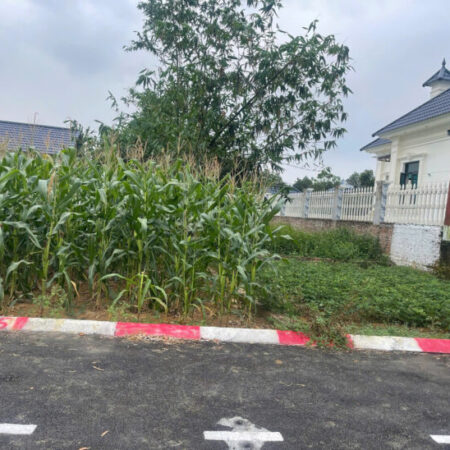 Bán lô đất siêu phẩm Phúc Tiến 71.2m 7mt ôtô ngõ thông giá rẻ 2.2 tỷ Bán lô đất siêu phẩm Phúc Tiến 71.2m 7mt ôtô ngõ thông giá rẻ 2.2 tỷ