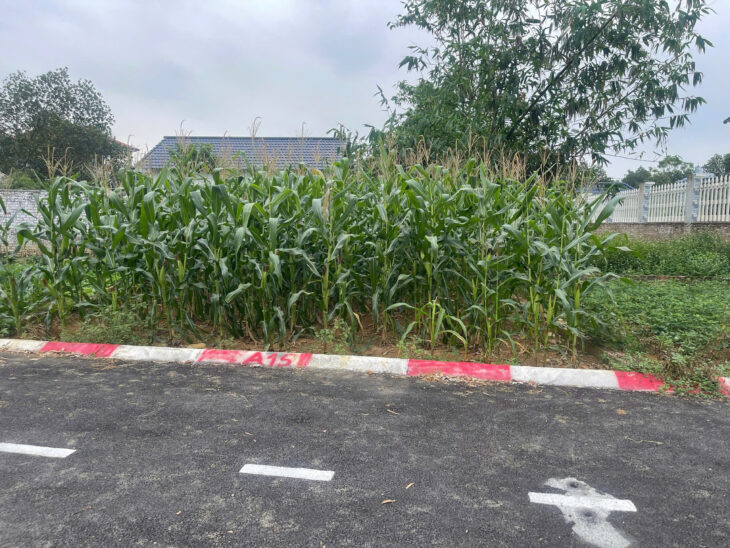 Bán lô đất siêu phẩm Phúc Tiến 71.2m 7mt ôtô ngõ thông giá rẻ 2.2 tỷ