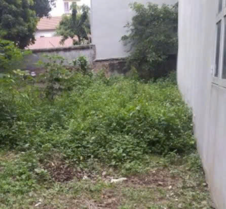 Cần bán mảnh đất có diện tích hơn 58m ô tô vào đất chỉ 65tr/m2 gần ngay chợ Tự Khoát, Ngũ Hiệp