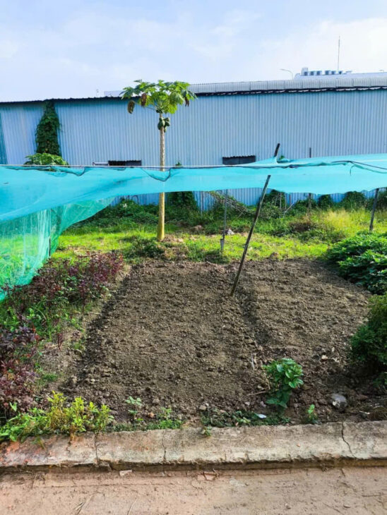 Bán 62m2 đất thổ cư cạnh TOYOTA Long Phước,Quận 9 chỉ hơn 2 tỷ.