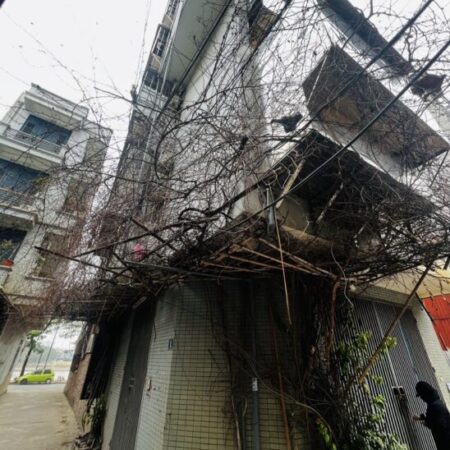 PHỐ LINH ĐƯỜNG – NHÀ LÔ GÓC, 3 MẶT THOÁNG, VIEW HỒ LINH ĐÀM