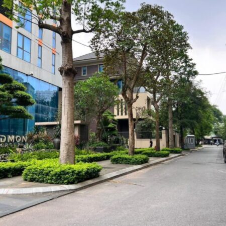 ⚜️ Liền Kề VIP Láng Hạ, Đống Đa 75m2 4T MT 5.5m, Sổ A4, Ô tô Vòng Quanh, Chỉ 24.5 Tỷ ⚜️
