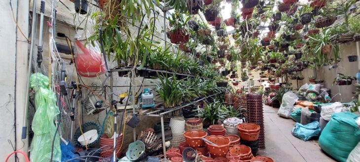 Mặt phố Hoàng Hoa Thám, Ba Đình, 86m2 C4 MT 5.7m, Giá rẻ xây tòa 17.5 TỶ